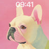 Pastel Echo Wallpaper with Color Gradient wallpaper for iPhone, iPad & Mac