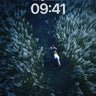 Midnight Meadow Wallpaper with Whispering Grass wallpaper for iPhone, iPad & Mac