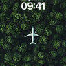 Serene Flight Wallpaper Over Emerald Canopy wallpaper for iPhone, iPad & Mac