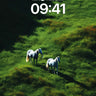 Whispering Meadow Wallpaper with Silver Horses wallpaper for iPhone, iPad & Mac