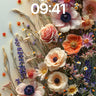 Whispering Bloom Wallpaper with Petal Veils wallpaper for iPhone, iPad & Mac