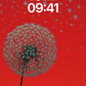 Floating Fragility Wallpaper with Dandelion Seeds wallpaper for iPhone, iPad & Mac