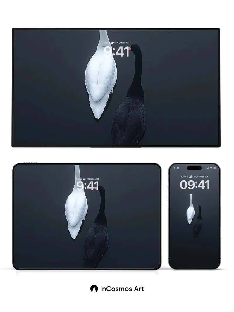 Serenity Duet Wallpaper with Contrasting Feathers