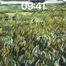 Whirlwind Wheatfield Wallpaper with Van Gogh's Touch wallpaper for iPhone, iPad & Mac