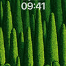 Whispering Cypress Wallpaper with Village Hush wallpaper for iPhone, iPad & Mac