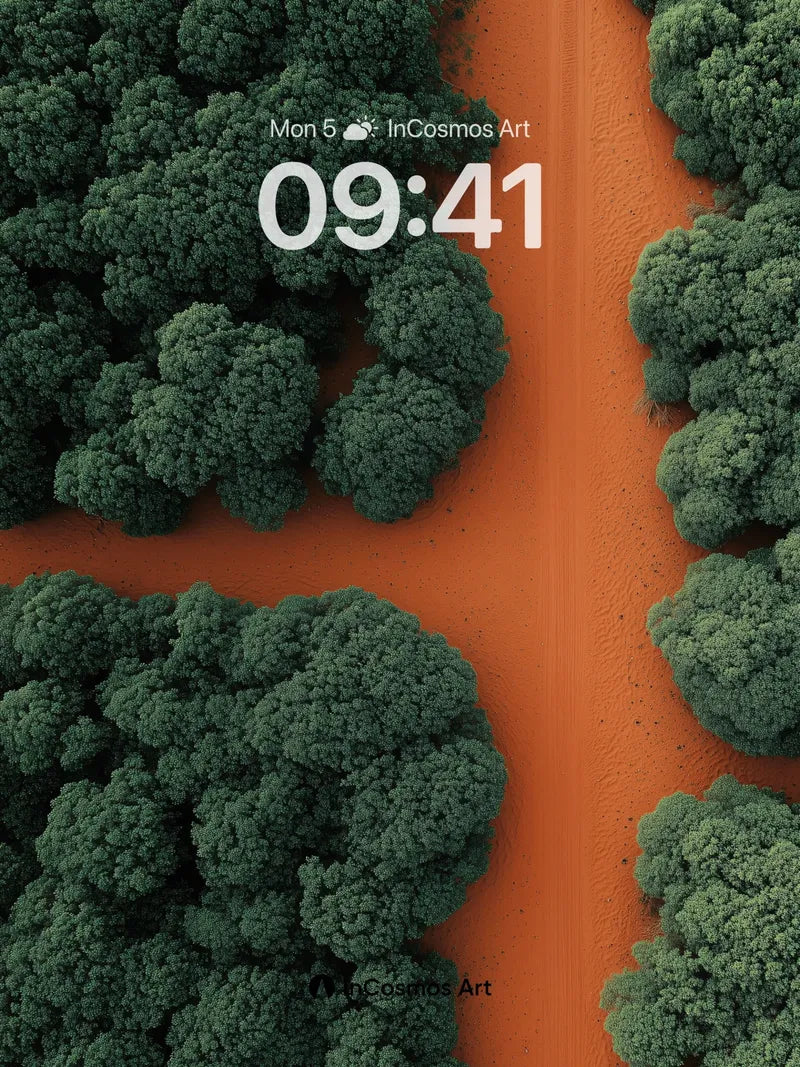 Serpentine Path Wallpaper with Forest Canopy