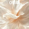 Silken Bloom Wallpaper with Soft Light Veil wallpaper for iPhone, iPad & Mac