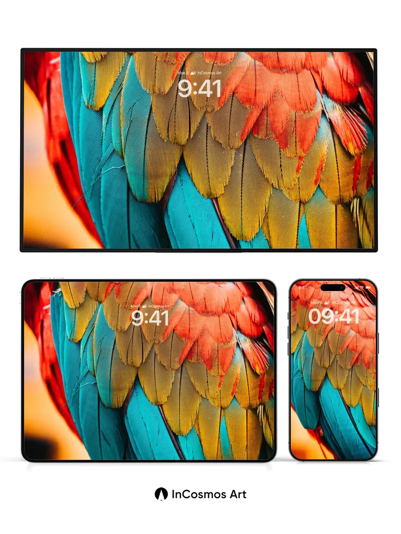 Crimson Feather Wallpaper with Teal Depths