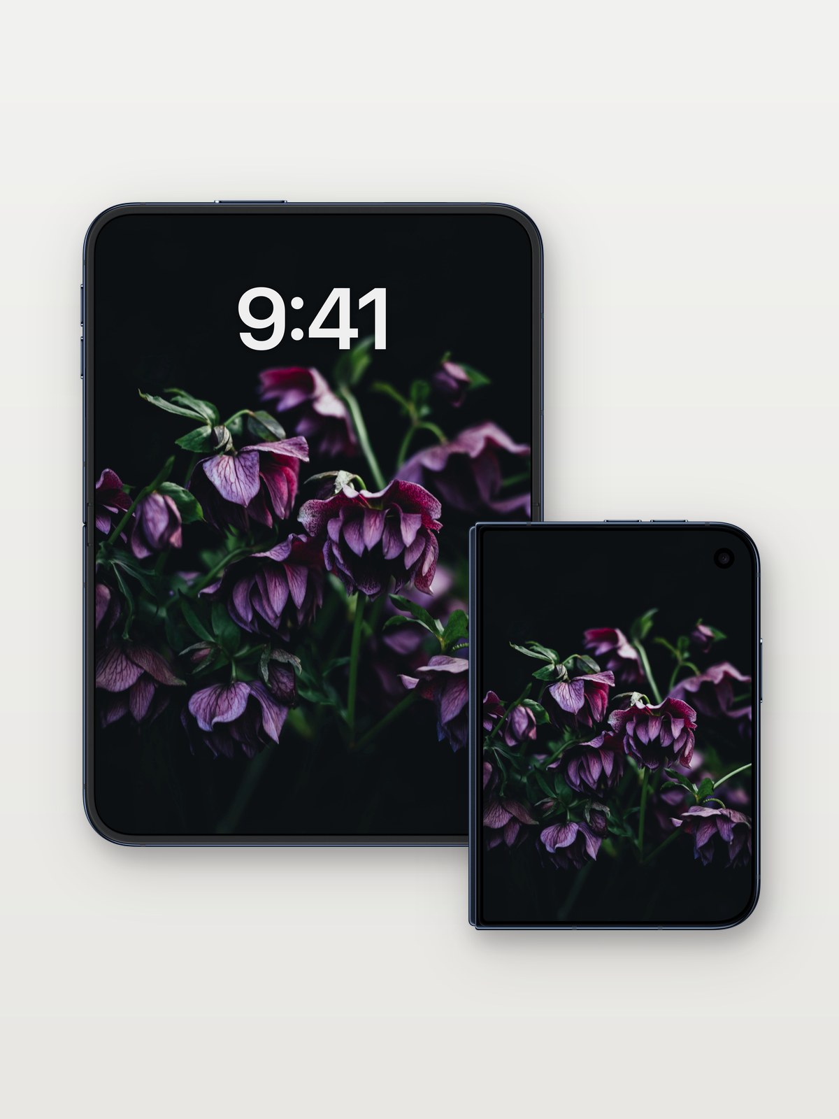 Velvet Nightfall Wallpaper with Drooping Petals on iPhone Duo, open and closed