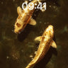Golden Reverie Wallpaper with Koi Reflections wallpaper for iPhone, iPad & Mac