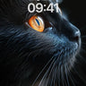 Velvet Shadow Wallpaper with Amber Eyes wallpaper for iPhone, iPad & Mac