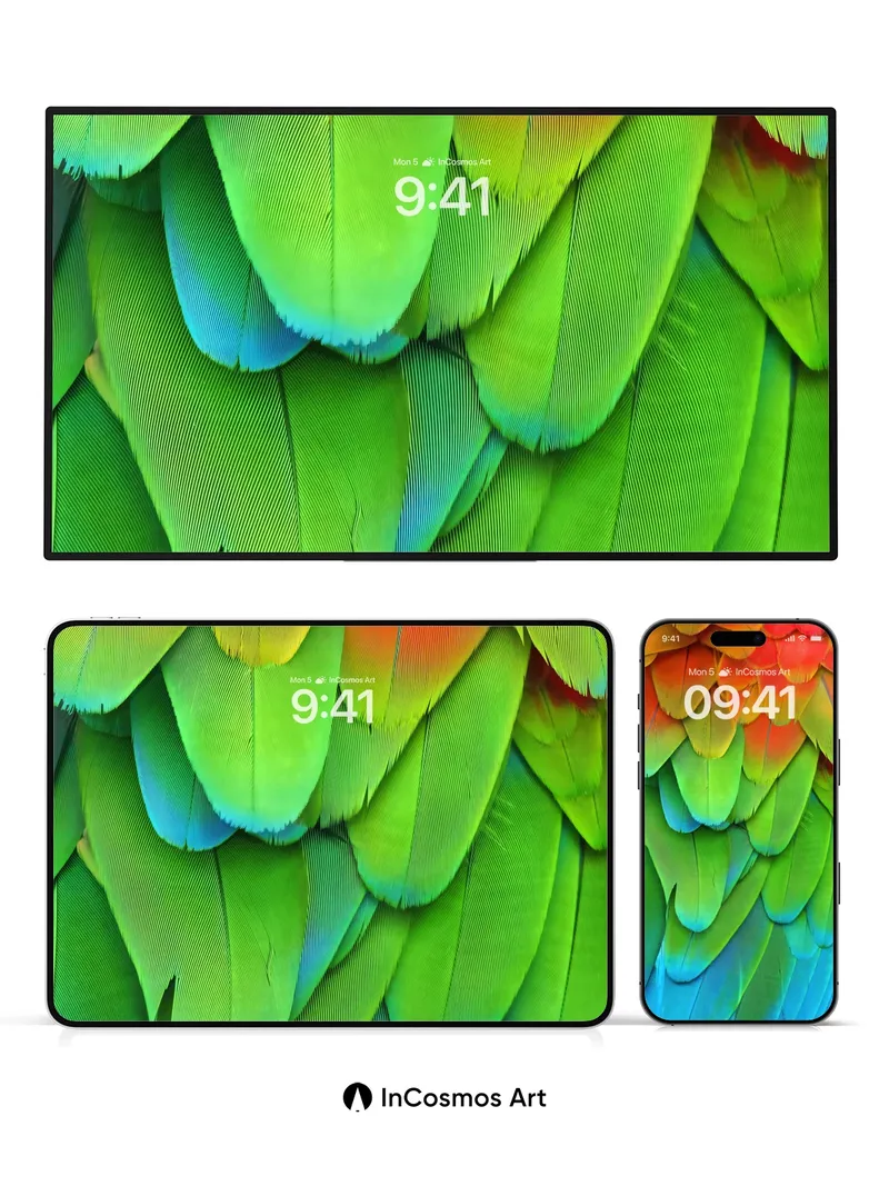 Rainbow Feather Wallpaper with Living Hues