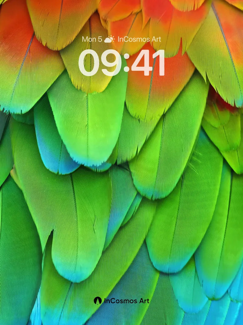 Rainbow Feather Wallpaper with Living Hues