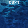 Deep Currents Wallpaper with Crimson Echo wallpaper for iPhone, iPad & Mac