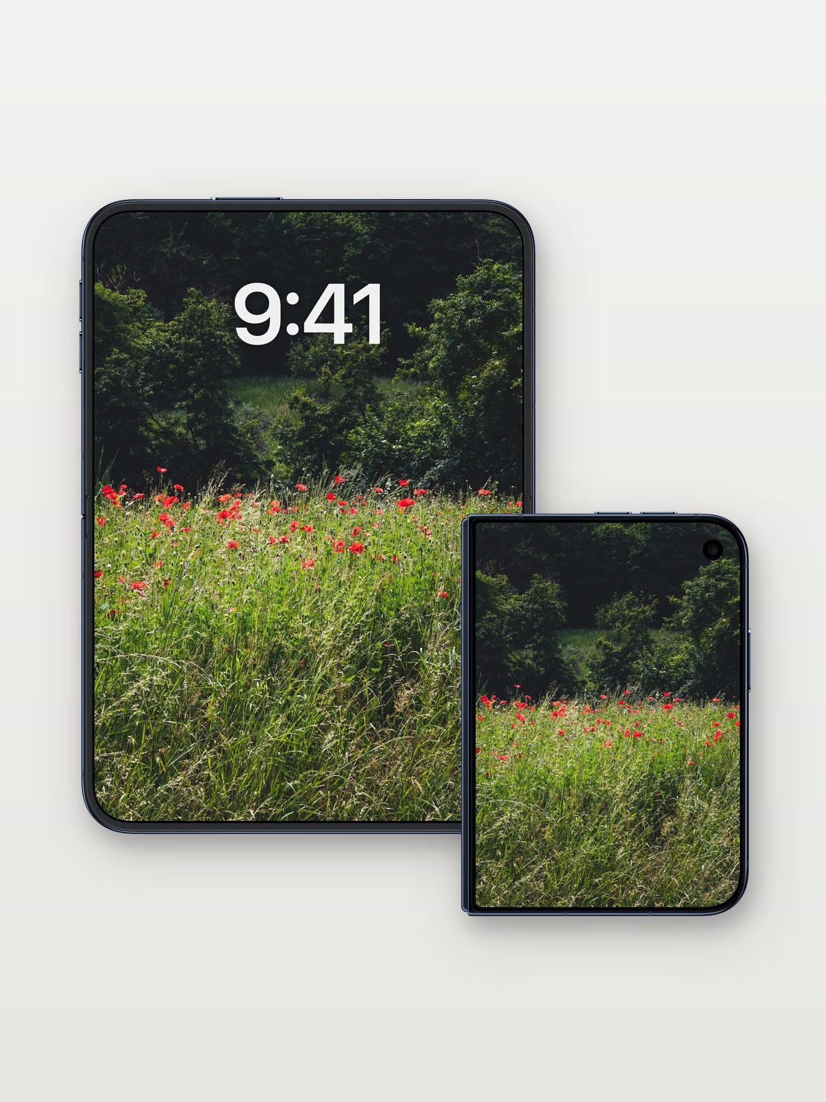 Sunlit Meadow Wallpaper with Crimson Poppies on iPhone Duo, open and closed