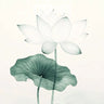 Serenity Lotus Wallpaper with Ethereal Veil wallpaper for iPhone, iPad & Mac