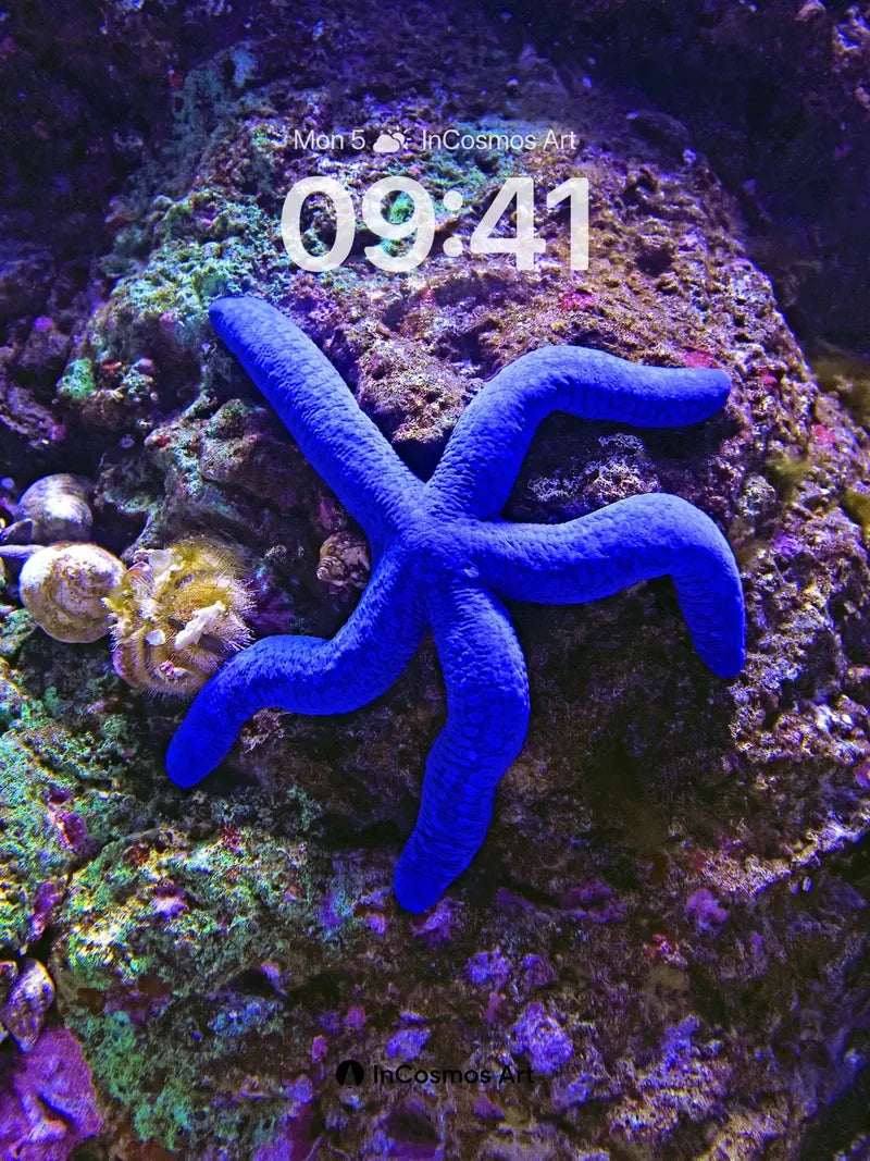 Electric Deep Wallpaper with Living Coral