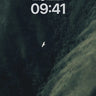 Solitary Flight Wallpaper with Forest Veil wallpaper for iPhone, iPad & Mac