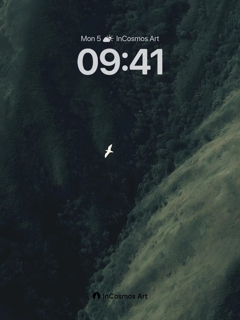 Solitary Flight Wallpaper with Forest Veil wallpaper for iPhone, iPad & Mac