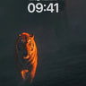 Shadowed Majesty Wallpaper with Tiger and Dragon wallpaper for iPhone, iPad & Mac