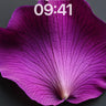 Velvet Petal Wallpaper with Veined Light wallpaper for iPhone, iPad & Mac