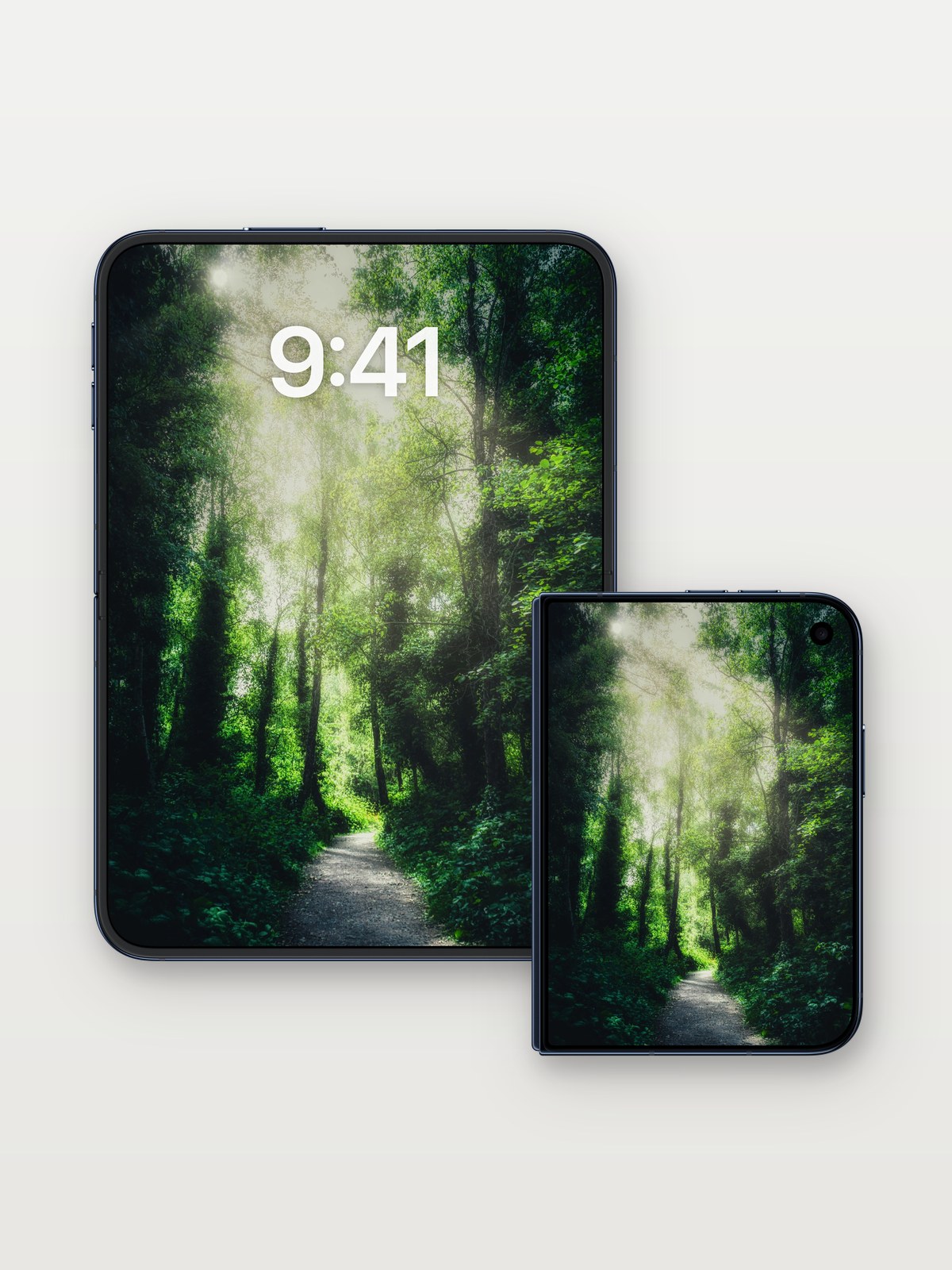 Whispering Canopy Wallpaper with Sunlit Veil on iPhone Duo, open and closed