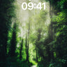 Whispering Canopy Wallpaper with Sunlit Veil wallpaper for iPhone, iPad & Mac