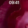 Velvet Shadow Wallpaper with Crimson Depths wallpaper for iPhone, iPad & Mac