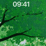 Canopy Whisper Green Forest Wallpaper