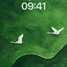 Emerald Flight Wallpaper with Soft Curves wallpaper for iPhone, iPad & Mac