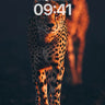 Golden Shadow Cheetah Wallpaper with Distant Echo wallpaper for iPhone, iPad & Mac