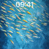 Sapphire Drift Wallpaper with Golden Schools wallpaper for iPhone, iPad & Mac