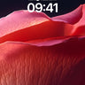 Velvet Petal Wallpaper with Crimson Light wallpaper for iPhone, iPad & Mac