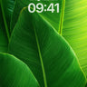 Emerald Vein Wallpaper with Sunlit Pulse wallpaper for iPhone, iPad & Mac