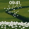 Serenity Flight Wallpaper with Whispering Blooms wallpaper for iPhone, iPad & Mac