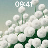 Serenity Sphere Wallpaper with Whispering Fluff wallpaper for iPhone, iPad & Mac