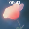 Luminous Petal Wallpaper with Ethereal Glow wallpaper for iPhone, iPad & Mac