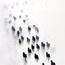 Silhouetted Herd Wallpaper in Misty Motion wallpaper for iPhone, iPad & Mac