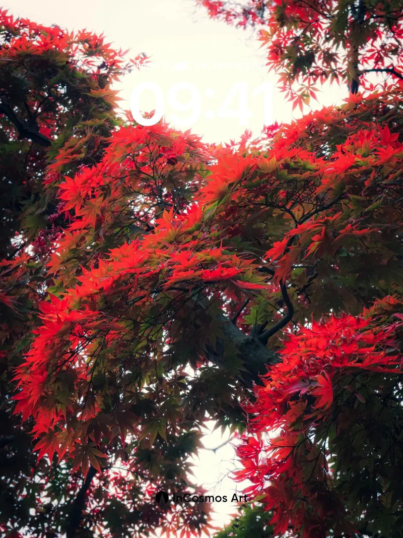 Crimson Canopy Wallpaper with Whispering Leaves