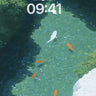 Koi Pond Serenity Nature Background wallpaper for iPhone, iPad & Mac