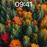 Autumn Pulse Wallpaper with Forest Breath wallpaper for iPhone, iPad & Mac