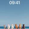 Serene Feline Lineup Wallpaper with Ocean Horizon wallpaper for iPhone, iPad & Mac