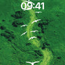 Serenity Flight Wallpaper with Green Vein Path wallpaper for iPhone, iPad & Mac