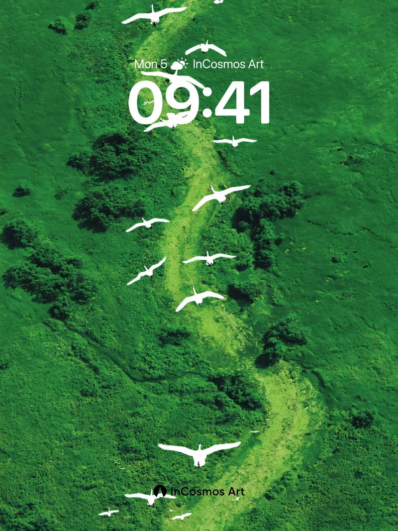 Serenity Flight Wallpaper with Green Vein Path