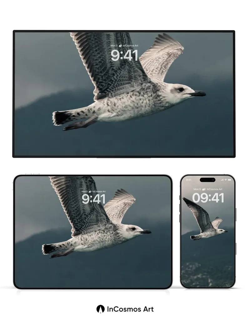 Soaring Solitude Wallpaper with Feathered Grace