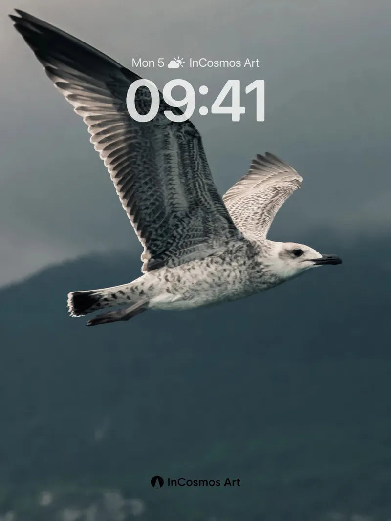 Soaring Solitude Wallpaper with Feathered Grace