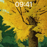 Golden Hush Wallpaper with Autumn Whispers wallpaper for iPhone, iPad & Mac