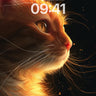 Golden Gaze Wallpaper with Starlit Whiskers wallpaper for iPhone, iPad & Mac