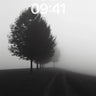 Misty Silence Wallpaper with Vanishing Trees wallpaper for iPhone, iPad & Mac