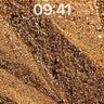 Golden Dust Wallpaper with Hidden Veins wallpaper for iPhone, iPad & Mac